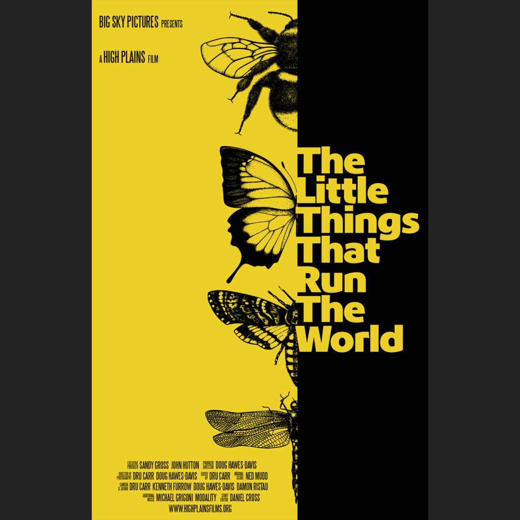 THE LITTLE THINGS THAT RUN THE WORLD